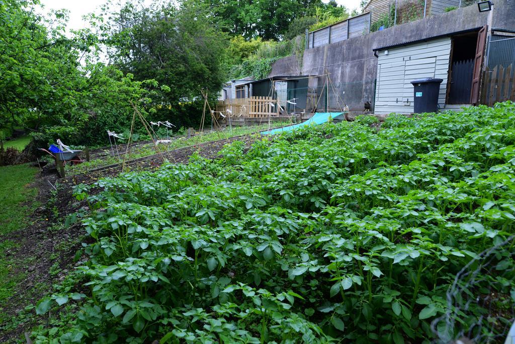 Gabriel House Guesthouse Cork Exterior photo