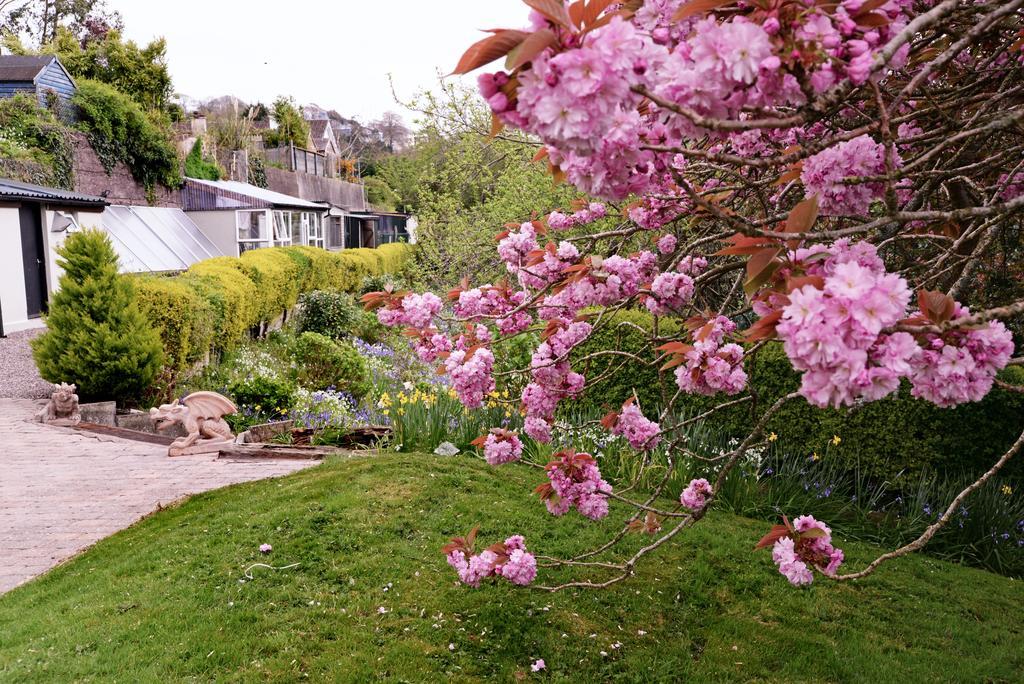 Gabriel House Guesthouse Cork Exterior photo